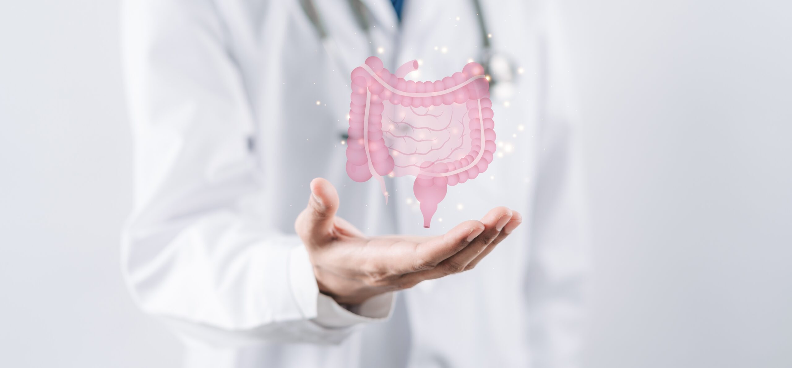 microbiota intestinale